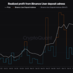 Binance Data Reveals Bitcoin Profit Trends: Is the Bull Run Far From Over?