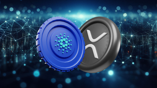 Cardano and the XRP Price Gain Momentum While RCO Finance Prepares for a 35,402% Surge by Q1 2025