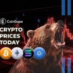 Cryptocurrency Market Today Nov 28: BTC Regains $96K, ETH Up 9%, ENS Shoots 50%