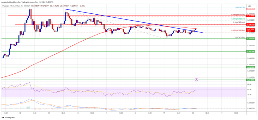 Dogecoin (DOGE) Eyes $0.50 Again: Is a New Rally on the Horizon?