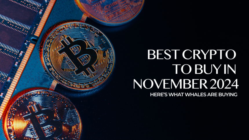 November 2024 Breakout Cryptos That Are Ready to Skyrocket in the Market