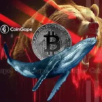 Will Bitcoin Hit $100K Today On Massive BTC Whale Accumulation?