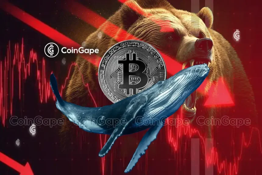 Will Bitcoin Hit $100K Today On Massive BTC Whale Accumulation?