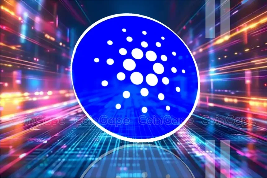 4 Cardano Rivals To Buy To Turn $2k To $200K Before Q1 2025