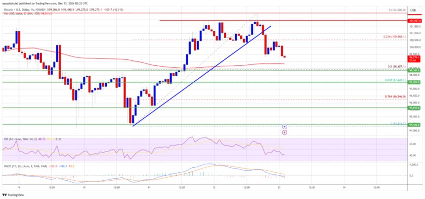 Bitcoin Price Struggles at $100K: Is The Rally Losing Steam?