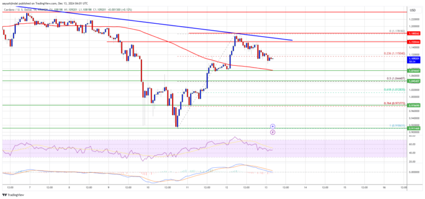 Cardano (ADA) Uptrend Faces Hurdles: Will Bulls Break the Barrier?