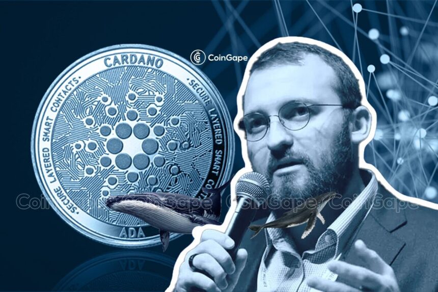 Charles Hoskinson Reacts As Cardano Foundation Whistleblower Goes On Record