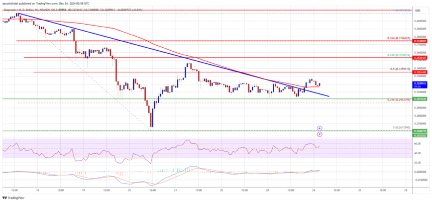 Dogecoin (DOGE) Hints at Revival: Can It Defy The Odds?