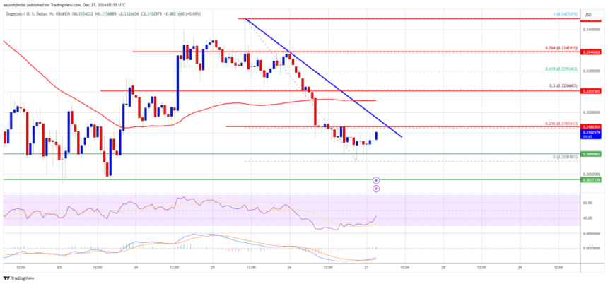 Dogecoin (DOGE) Steadies Above Support: Can It Build Momentum?