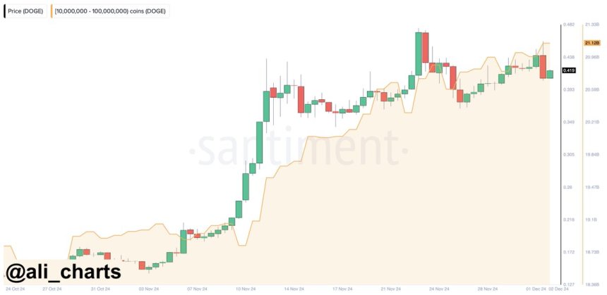 Dogecoin Whales Keep Buying – DOGE Metrics Reveal Demand Remains Strong