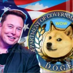 SBF’s Parents Caught In Crossfire As Elon Musk Blasts Elizabeth Warren