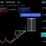 Shiba Inu Braces For Rally – Analyst Sees 35% Price Surge – Details