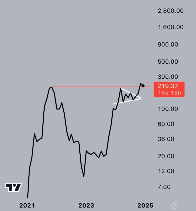 Solana Monthly Chart ‘Looks Ready For A Monster Run’ – Details