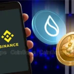 SUI, HMSTR and These Crypto Tumble After Binance Delisting Announcement