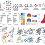 Viro3D: A Comprehensive Resource of Predicted Viral Protein Structures Unveils Evolutionary Insights and Functional Annotations