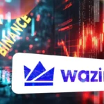 WazirX (WRX) Crashes 50% On Binance Delisting And Fresh Probe