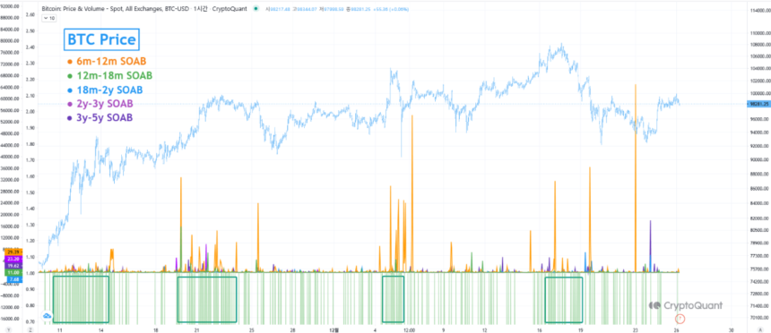 Who Profited During Bitcoin’s $100,000 Surge? Analyst Breaks Down the Data