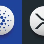 XRP and Cardano Debate Heats Up After Messari Co-founder’s “Bot Group” Comments