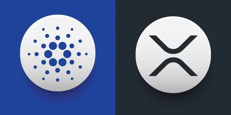 XRP and Cardano Debate Heats Up After Messari Co-founder’s “Bot Group” Comments