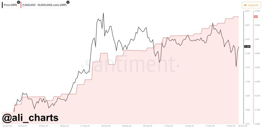 XRP Holds Key Demand Level – Whale Activity Suggests Strength