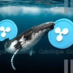 XRP News: Ripple Whales Buy 830M Coins Amid RLUSD Launch Optimism