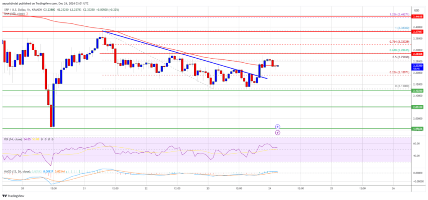 XRP Price Fresh Surge: Bulls Gear Up for Action