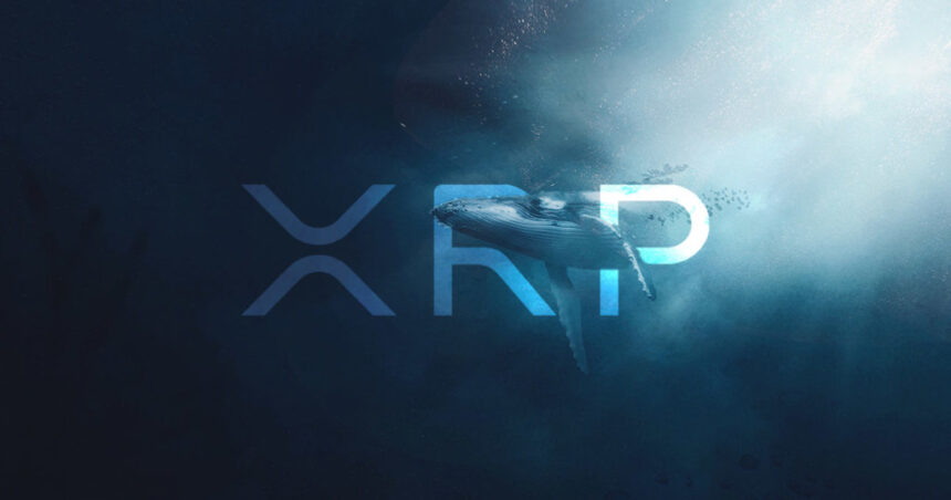 XRP Whales Boost Activity as Market Eyes $10 Milestone