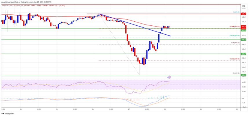 BNB Price Bounces Back Strongly: Is The Rally Sustainable?