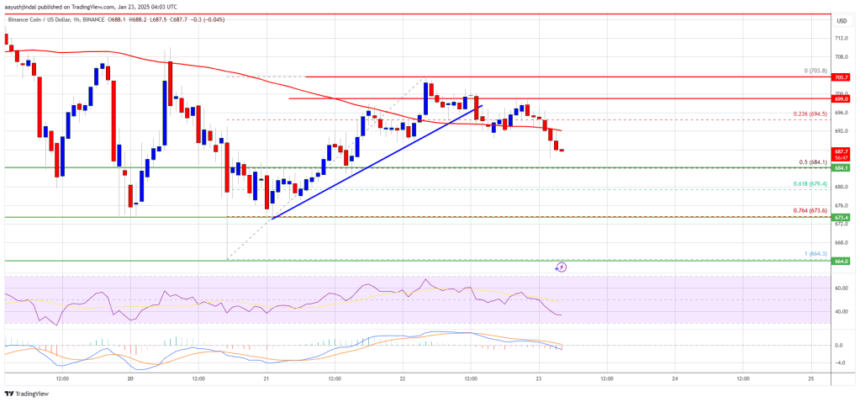 BNB Price Stalls Below $700: Is a Surge Around The Corner?