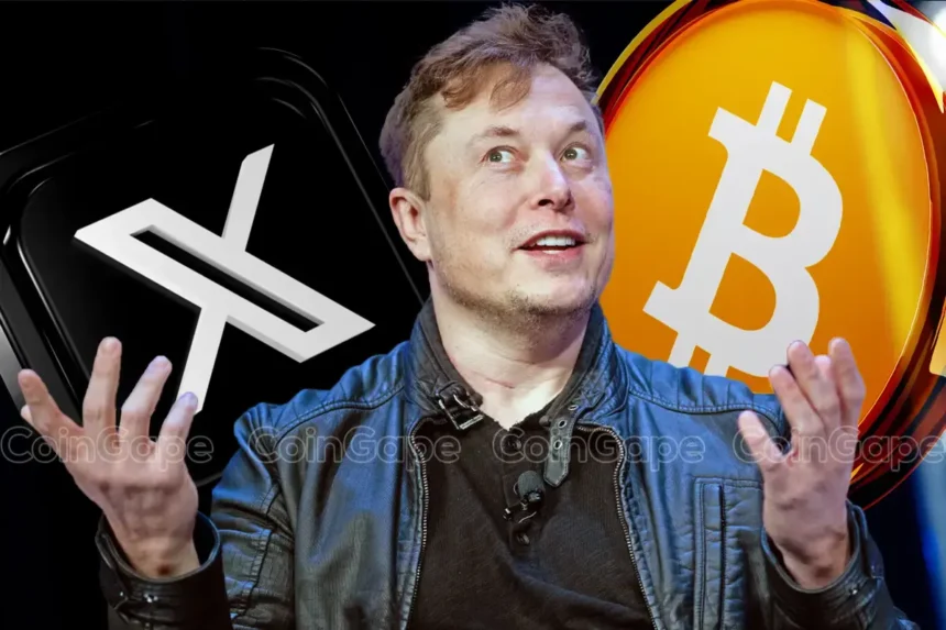 Can Elon Musk’s X Money Integrate Bitcoin As BTC Pushes Tesla Net Income To $600M?