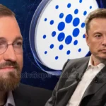 Cardano Price Plummets 8% As Charles Hoskinson Offers to Help Elon Musk’s DOGE