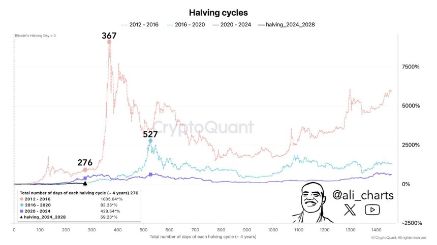 Crypto Experts Forecast Bitcoin Market Peak: Bear Market Could Emerge Within 3 Months