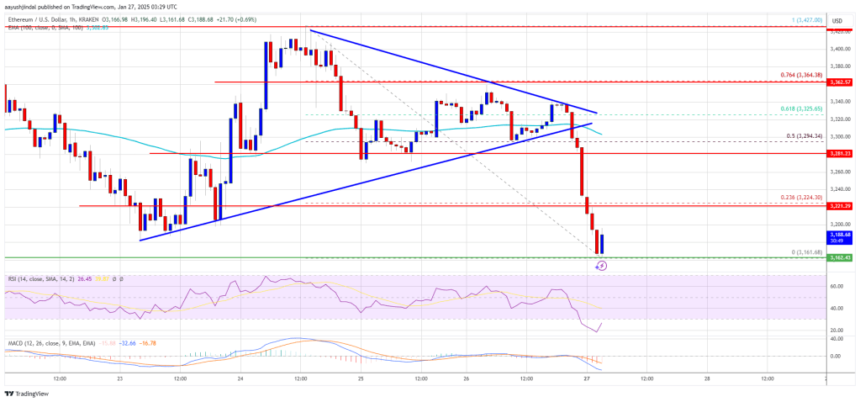 Ethereum Battle Persists: Will It Overcome The Struggles?