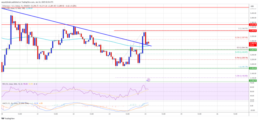 Ethereum Price Revival: What the Signs Say About Its Next Move