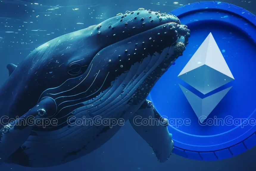 Ethereum Price Today: Whales Buy 25K ETH As Crypto Market Crashes