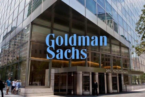 Goldman Sachs CEO Dismisses Bitcoin as a Threat to US Dollar Stability