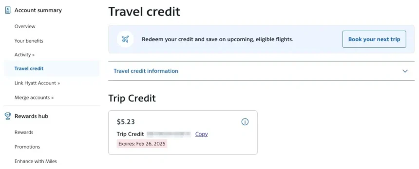 How to Find & Use Your Airline Vouchers and Travel Credits Wisely