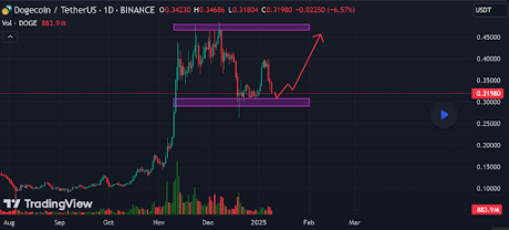 Is Dogecoin’s 30% Decline A Chance To Buy On Discount? Here Is the Pertinent Level To Watch