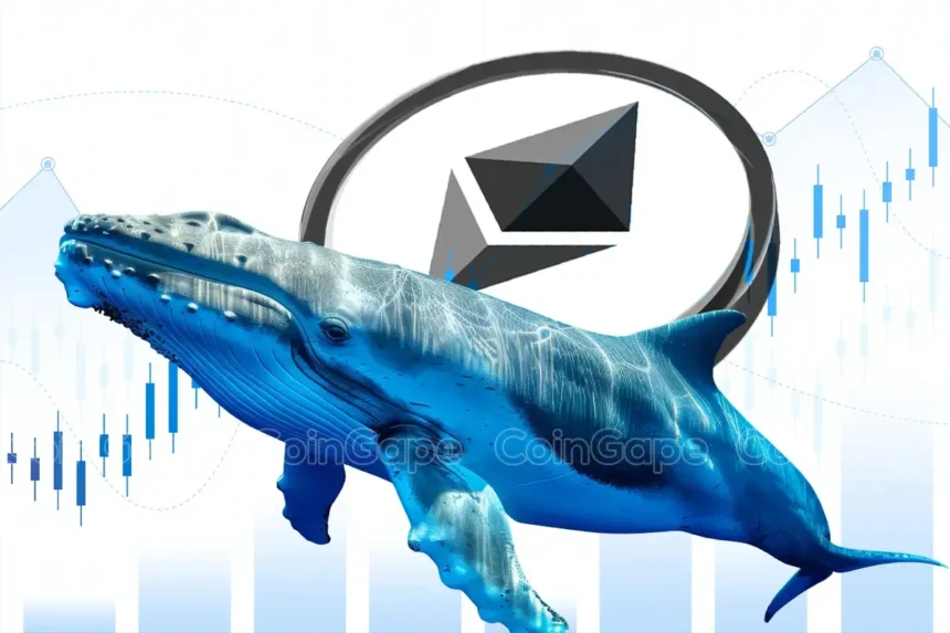 Is Ethereum Price Rally Next as Holders Capitulate Amid Whale Buying Spree?