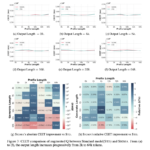 Microsoft AI Introduces Sigma: An Efficient Large Language Model Tailored for AI Infrastructure Optimization