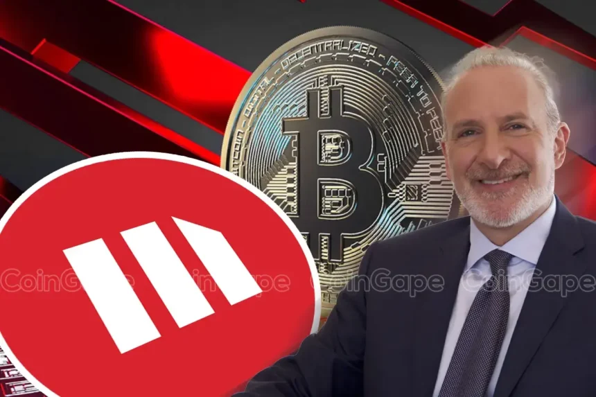 MicroStrategy (MSTR) Stock To Crash, Peter Schiff Says