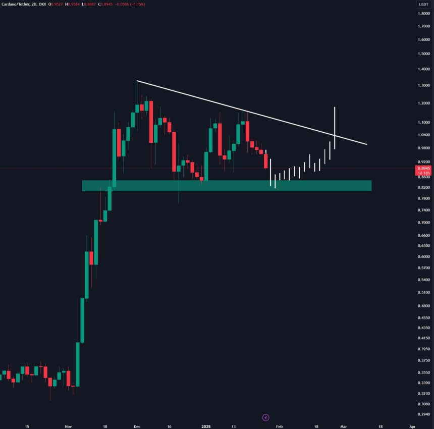 ‘No Need To Panic’: Cardano (ADA) Holding Key Level Despite 14% Drop