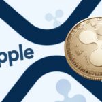 Ripple CEO Reveals Discussions with Trump on Including XRP in U.S. Strategic Reserve