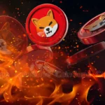 Shiba Burn Rate Soars 600%; What’s Next for Shiba Inu Price?