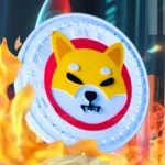 Shiba Inu Burn Rate Soars By 1000%; What’s Next For SHIB Price?