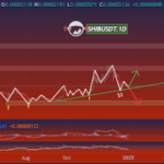 Shiba Inu Price To $0.000045? Here Are The Major Support And Resistances To Watch Out For