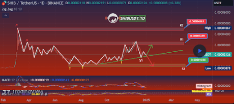 Shiba Inu Price To $0.000045? Here Are The Major Support And Resistances To Watch Out For