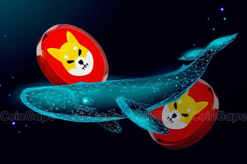 Shiba Inu Whales Accumulate 1.63 Trillion As SHIB Crashes 10%, Will Price Bounce?