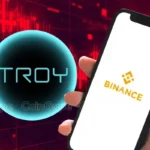 TROY Price Crashes 40% Amid Major Binance Announcement, What’s Next?