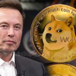 Will Elon Musk Back Dogecoin Again? DOGE Price Could Soar If This Happens